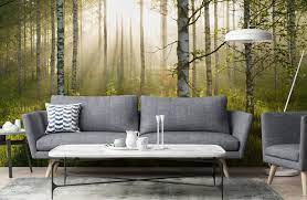 Birch Tree Wallpaper Wall Murals