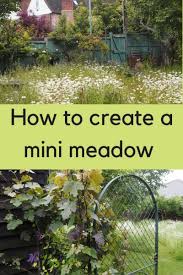 Mini Meadow Garden