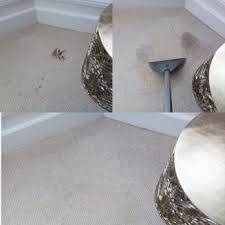 celtic carpet upholstery cleaning