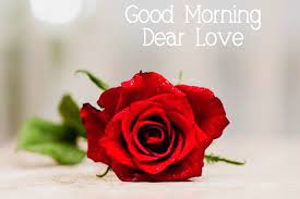 ᐅ143 good morning my love images hd