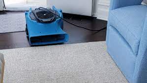 1 best rated carpet cleaning norwalk ct