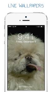 dynamic puppy wallpapers screen lock by