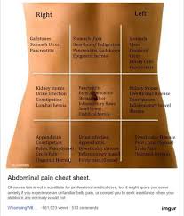 Stomach Pain Chart What Is Your Abdomen Best Abdominal Ideas On