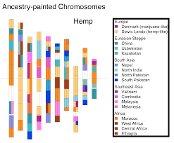 What The Marijuana Genome Map Means For The Future Of Pot
