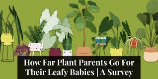 plant pas go for their leafy es