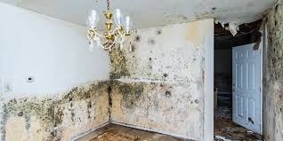 do you have mold in your home