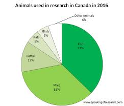 Canada Sees Rise In Animal Research Numbers In 2016