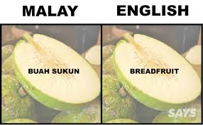 Great news!!!you're in the right place for pisang kaki. What S Pandan And Ciku In English We Dug Up Translations Of 16 Produce Malaysians Love