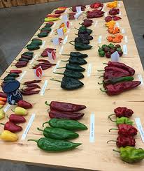 Johnnys Hot Pepper Palooza 10 Types Of Chilis To Bring