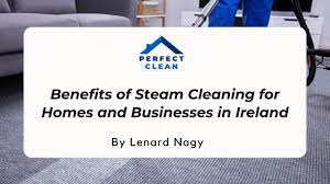 benefits of steam cleaning in ireland