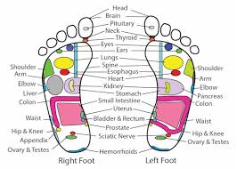 Foot Relief Insoles Reflexology Chart