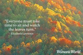 Image result for fall photos quotes