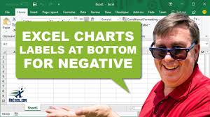 Learn Excel Chart Axis Labels At Bottom For Negative Podcast 1897