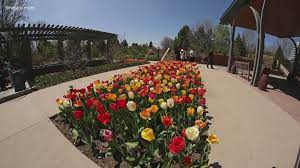 Denver botanic gardens offers unique venues with a variety of indoor & outdoor spaces. Denver Botanic Garden Can Reopen On Limited Basis State Says 9news Com