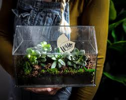mini indoor greenhouses