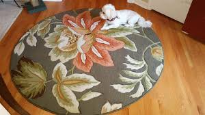 area rugs clic carpet floor