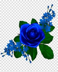 free blue rose flower blue