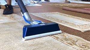 carpet cleaning acton any time carpet