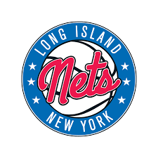 Downloading this artwork you agree to the following: Brooklyn Nets Logo Vector