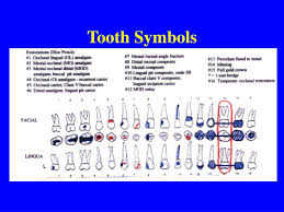 Dental Charting Dental Index Jr Online Dental Tutor