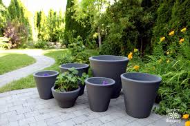 Container Fruit Trees For Your Patio