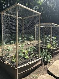 building raised vegetable garden