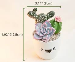 Artificial Potted Cactus Decor