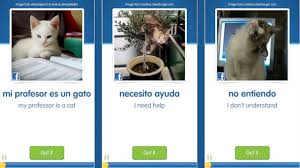 cat meme app teaches spanish