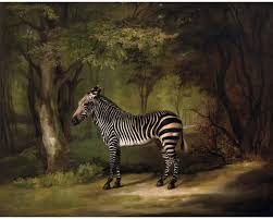 Vintage Zebra Art Print George Stubbs