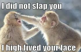Humor sayings, phrases and pictures. Funny Monkey Quotes Quotesgram