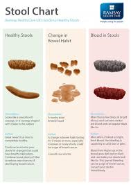 Bowel Cancer Symptoms What A Healthy Stool Looks Like