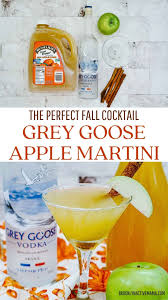 simple grey goose apple martini easy