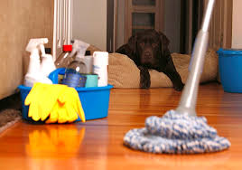residential cleaning services in denver