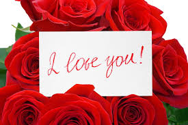 i love you red romantic holiday