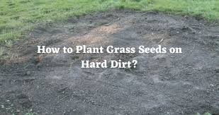 plant gr seeds on hard dirt