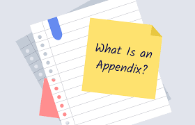 This resource offers a quick overview of format and content. What Is An Appendix Structure Format Examples Essaypro