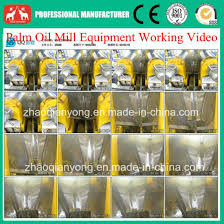 China 1t 20t H Ffb Palm Fruit Oil Extraction Equipment