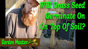 will gr seed germinate on top of