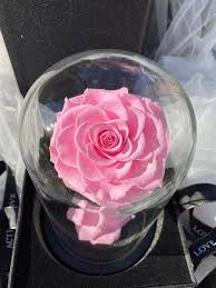 Glass Dome Forever Flower Infinity Rose