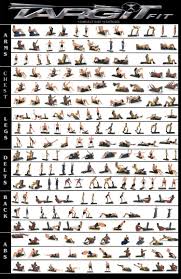 gym workout exercises pdf