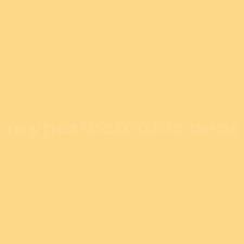 Behr P280 4 Surfboard Yellow Precisely