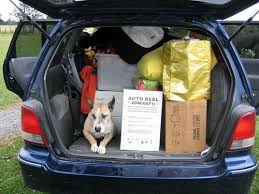 Our pet ground transportation services are a reliable alternative for safely. Mimi S Pet Transport Usa Premium Pet Transport