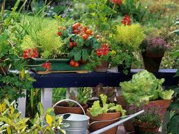 Growing Vegetables In Pots Containers