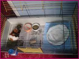hospital guinea pig cage