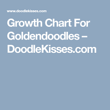 Growth Chart For Goldendoodles Doodlekisses Com Puppy