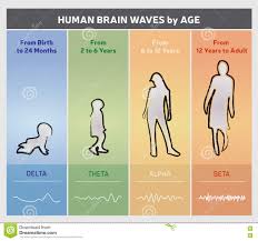 Human Brain Waves By Age Chart Diagram People Silhouettes