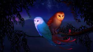 ★ live owl wallpapers animation, slideshow of owls themes. Owl Widescreen 16 9 Wallpapers Hd Desktop Backgrounds 2560x1440 Images And Pictures
