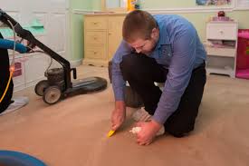 best carpet cleaning company st louis