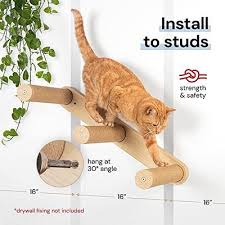 Cat Stairs Cat Ladder