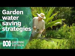 Saving Water In Your Ive Garden